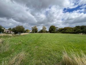 Photo 3- click for photo gallery